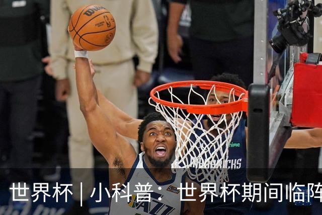 世界杯 | 小科普：世界杯期间临阵换帅，有先例吗？